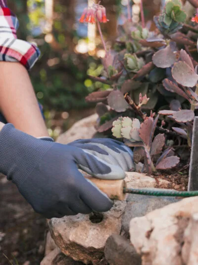 Petits travaux de jardinage